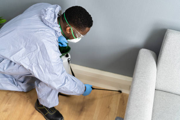 Best Bed Bug Extermination  in Chalmette, LA